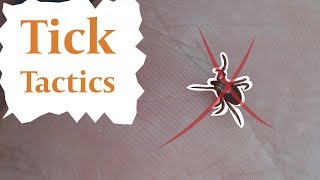 How to Deal with Ticks?