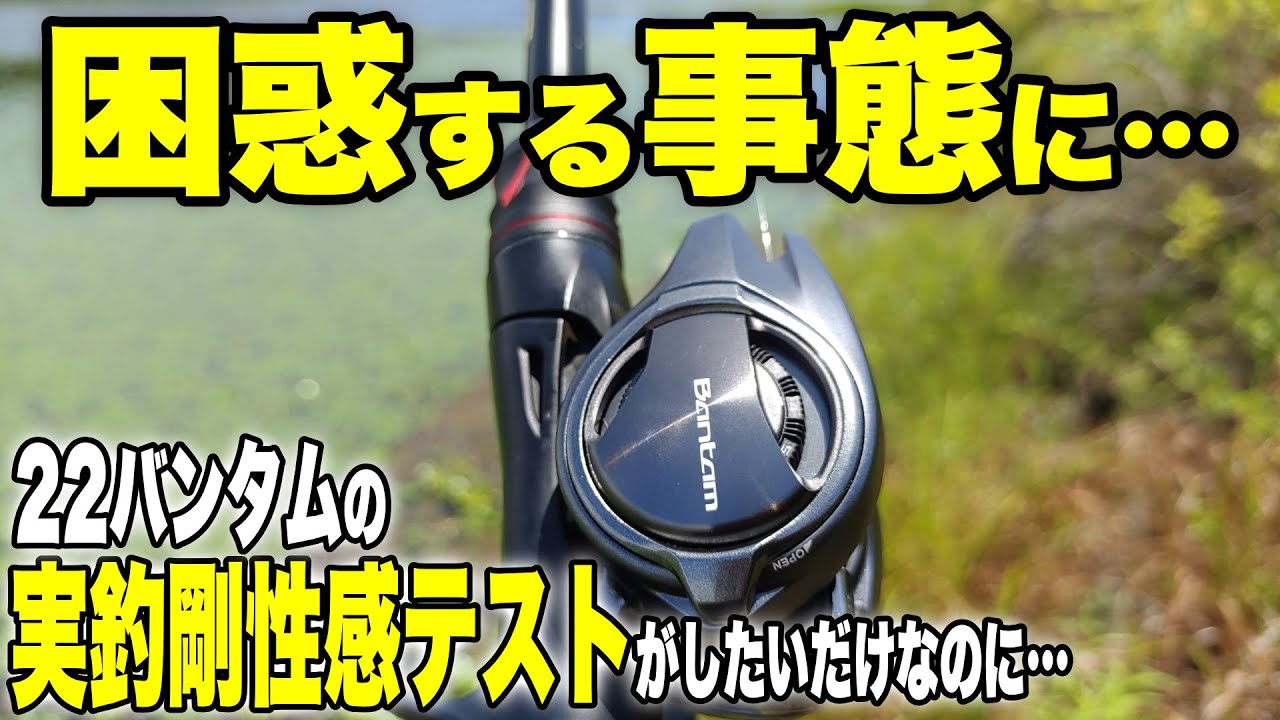 22バンダム シマノ シマノ 22 バンタム : バックラッシュYahoo!店 - 通販