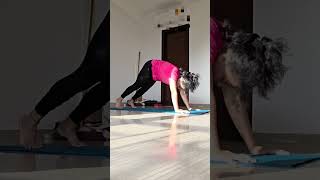 10 Minute Fat Burn Workout 🔥 | Burn Calories & Get Fit | ActiveZen Yoga & Fitness