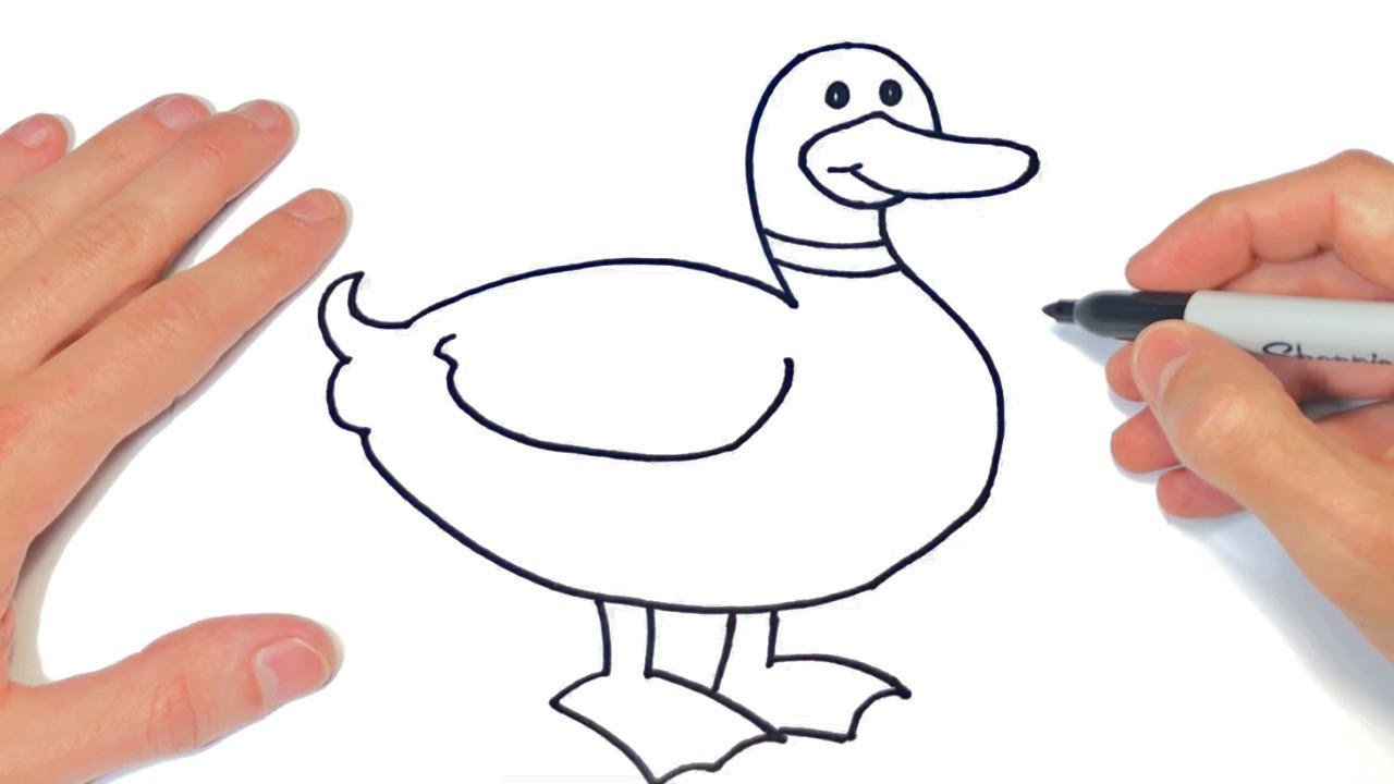 Cómo dibujar un Pato Paso a Paso | Dibujo de Pato - YouTube