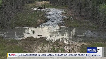 More than half a million gallons of sewage overflows into Halls Mill Creek