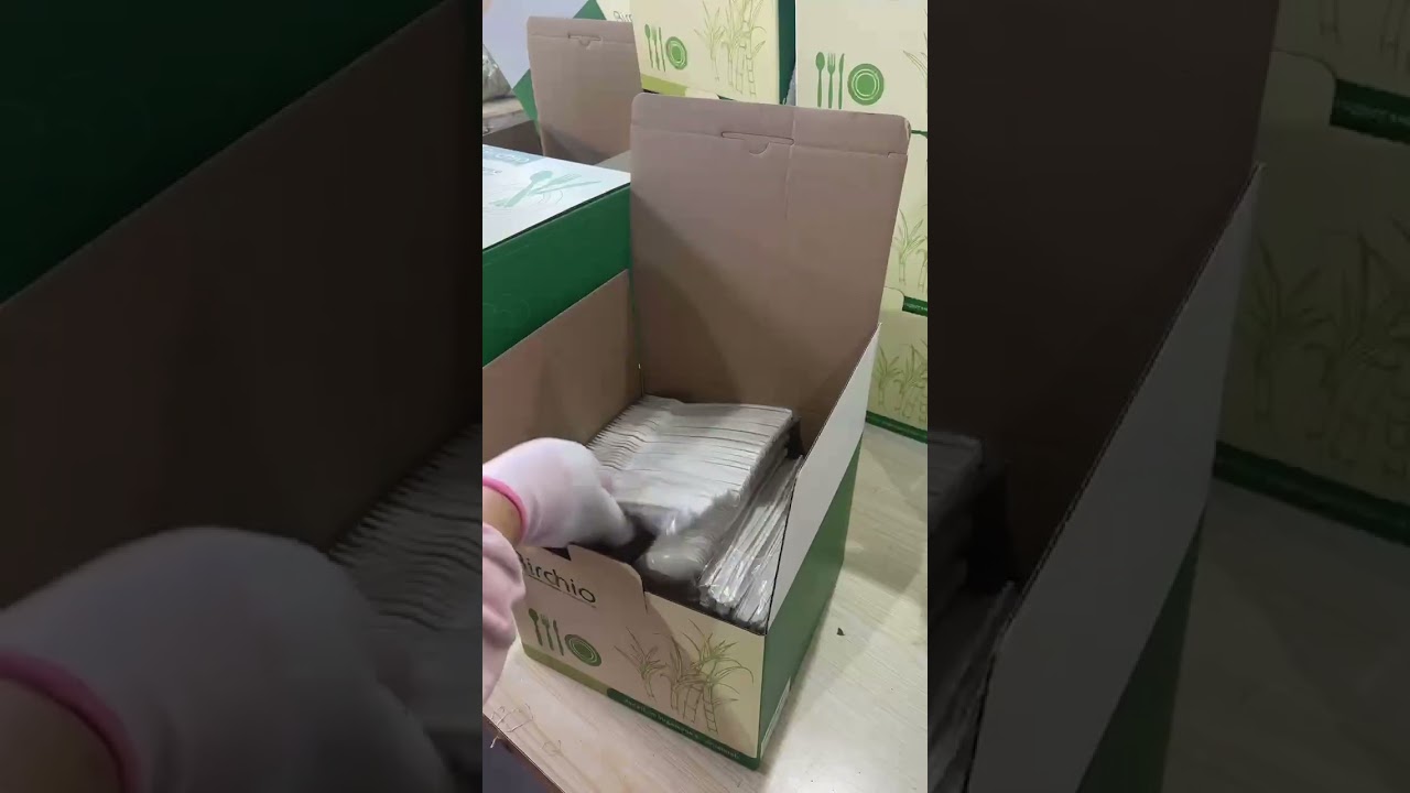 Compostable dinnerware sets for amazon