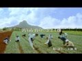 第24弾 伊江島/島らっきょう 篇　Aタイプ