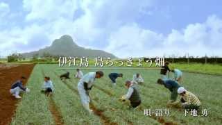 第24弾 伊江島/島らっきょう 篇　Aタイプ
