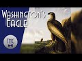 The mystery of Washington's Eagle