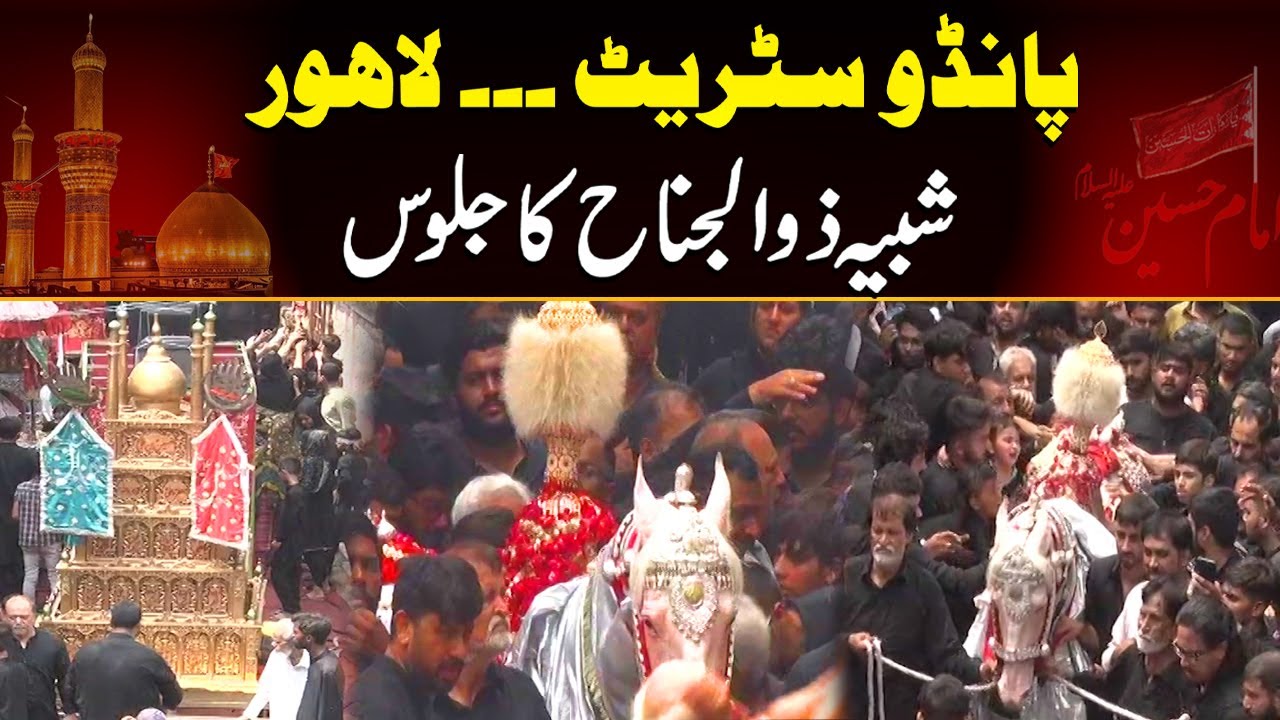 Pando Street Lahore | Shabeeh Zuljanah Ka Jaloos | 9th Muharram 2024 | City 41