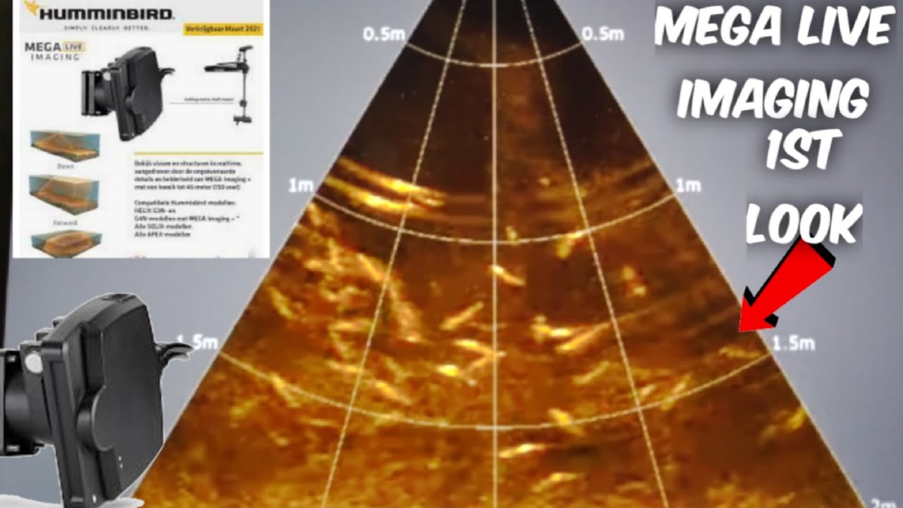 HUMMINBIRD MEGA LIVE IMAGING.(FIRST LOOK) 