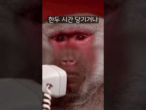   피자헛 시키기 전에 무족권 봐야되는 영상 광고X