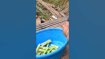 Món đặc sản nhất định phải thử khi đến tây bắc canh bon | TÂY BẮC TV #shorts