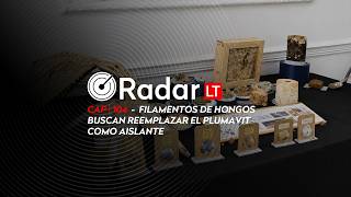 RADAR LT: Sustainable construction: mushroom filaments seek to replace Styrofoam as insulation