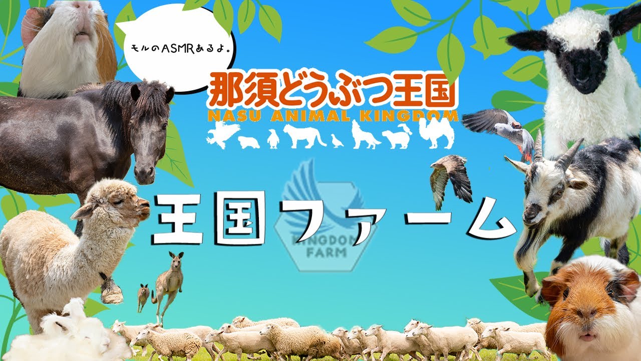 【ASMRあり】届け！王国ファームの魅力