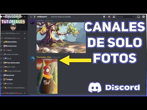 Como Hacer Canales De Solo Imágenes En Discord (Bien Explicado)