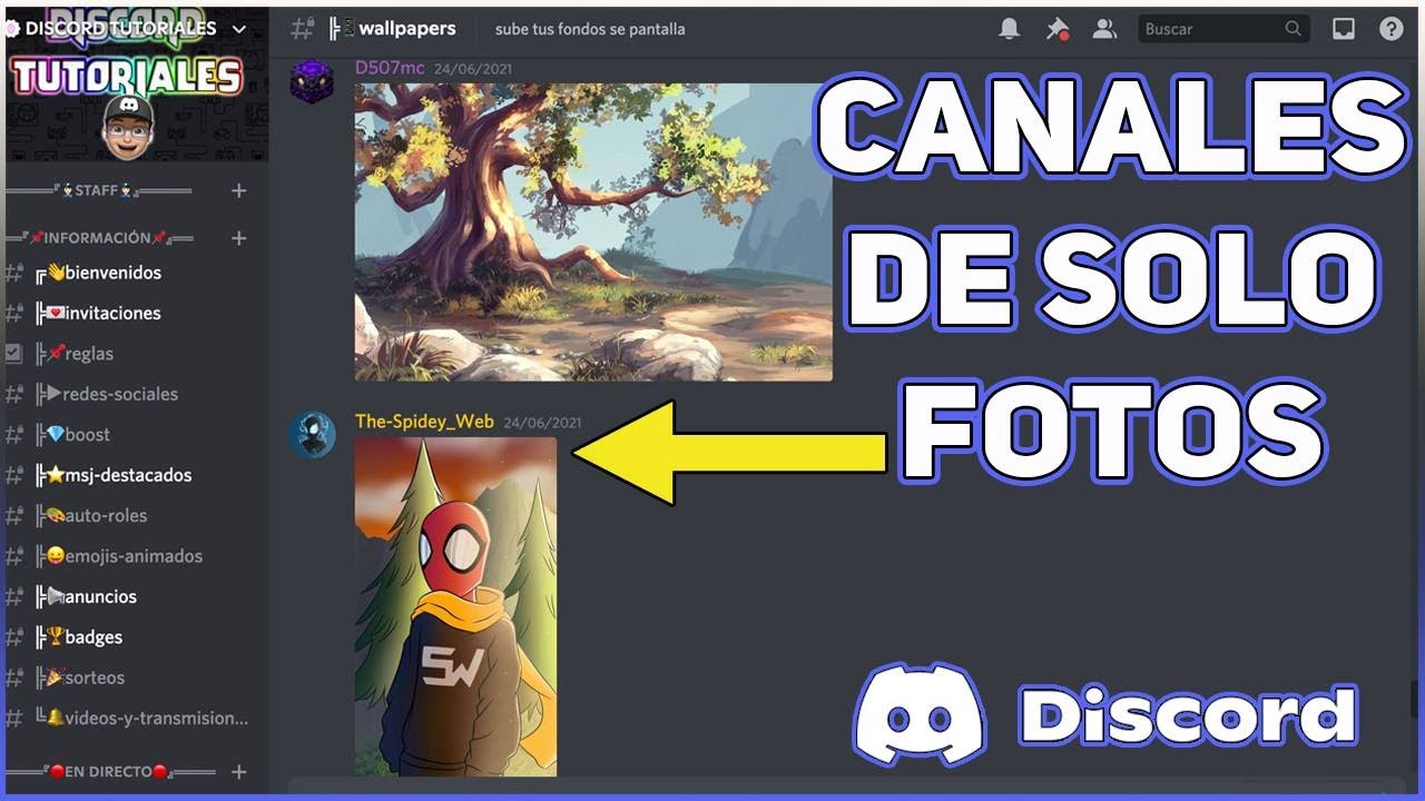 Chicos les propongo hacer un grupo en discord para ponernos de acuerdo en  donde hacer y como hacer los diseños, o si ya hay un canal de discord pasen  link, foto pa