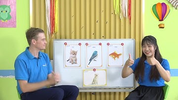 Học Tiếng Anh mầm non cho bé chủ đề động vật cùng Enspire Eduplay - Bé 4,5 tuổi | Enspire English