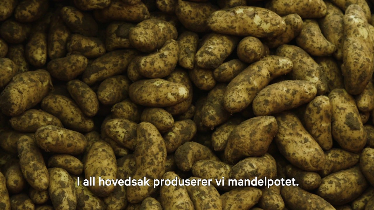 Norske poteter er bærekraftig