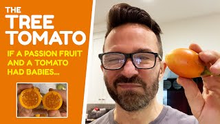 Cyphomandra betacea (Orange tamarillo) taste test… Does it taste more like tomato or passion fruit?