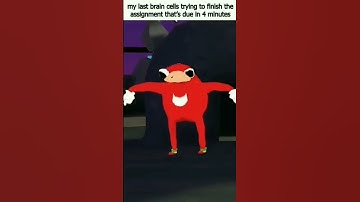 my last 4 brain cells during math exam:#memes#subscribe#trending