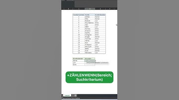 ✅ Mit der Funktion ZÄHLENWENN kannst Du dir die Anzahl eines definierten Suchkriteriums anzeigen 💡