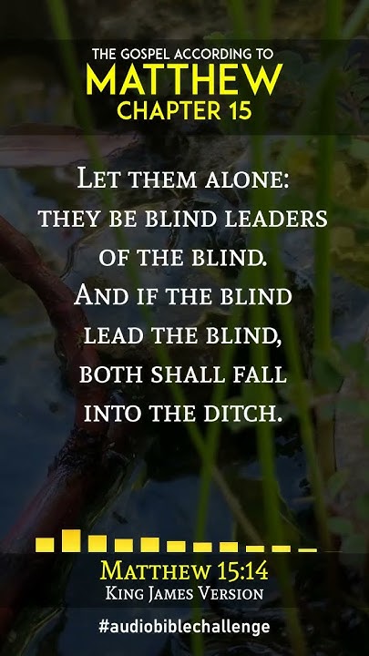 matthew-15-verse-12-17-kingdom-legacy-family-bible-shorts-read-by
