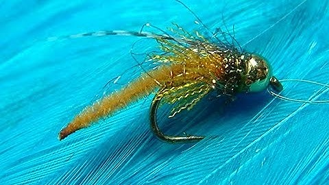 Tying a Detached Bodied Caddis Pupa with Davie McPhail.