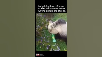 beginner mistake #coding #programming #javascript #python