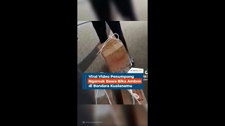 Viral Video Penumpang Ngamuk Bawa Bika Ambon di Bandara Kualanamu