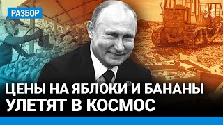 Цены на яблоки и бананы улетят в космос из-за Путина. Скандал с Эквадором и Китаем