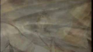 Heaven, Our Eternal Home - 46