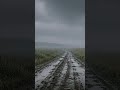 Rainy Dirt Road Ambience | Peaceful Storm Scene