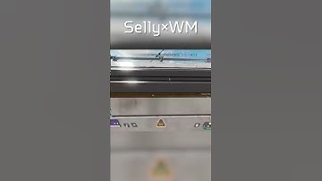 ウィングマンを持ったSellyの前で飛ぶのはやめた方がいい理由【APEX/エーペックス】