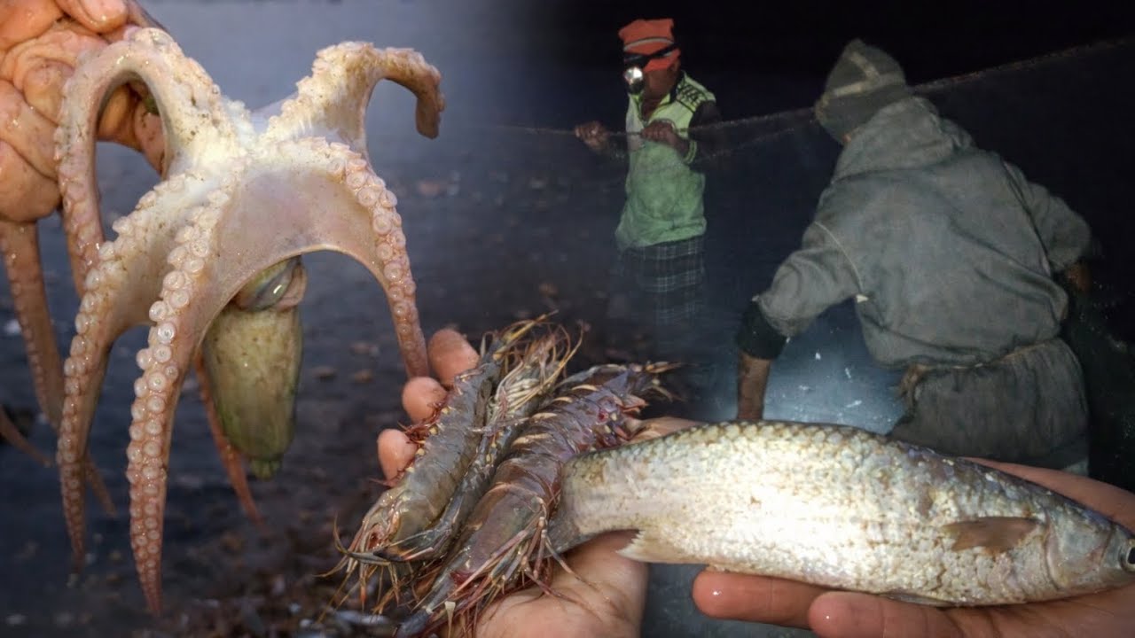 पारंपारिक वाणा मासेमारी || करपाली आणि बोईट मावरा || माकली || Aditya patil  || #fish #fishingvideo 