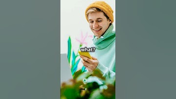 Numerical Methods for Engineers #engineering #mathematics