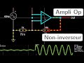 Ampli op  montage amplificateur noninverseur