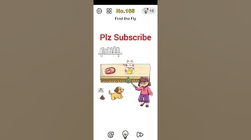 Brain out | Level 165 | Find the fly