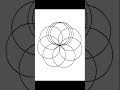 Python Turtle graphics  #python #shorts