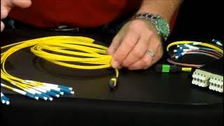 MTP Breakout Cables Video