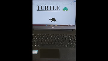 MS Word Turtle 🐢 Symbol Shortcut Key #shorts #computer #tricks #viralvideo #viralshorts