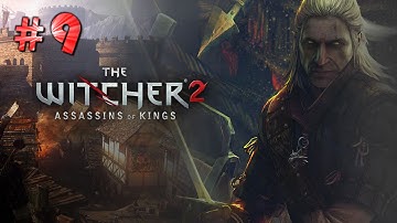 The Witcher 2 Assassin