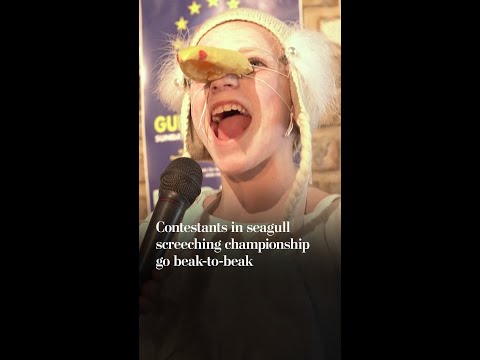 Campeonato europeo de graznidos de gaviotas: competidores de 15 países se enfrentan beak-to-beak