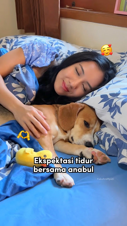 EKSPEKTASI VS REALITA TIDUR SAMA ANABUL😂‼️🤣 #anjinglucu #shorts
