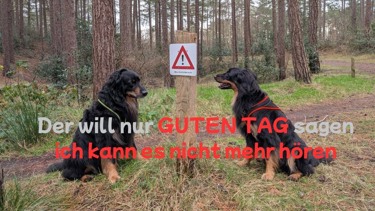Hundebegegnung ohne Rücksicht