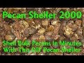 Shell bulk pecans in minutes with this Automatic Pecan SHeller