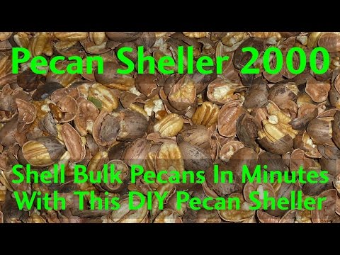 shell-bulk-pecans-in-minutes-with-this-automatic-pecan-sheller