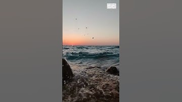 إِنَّ رَبَّكَ لَذُو مَغْفِرَةٍ وَذُو عِقَابٍ أَلِيمٍ | تلاوة خاشعة  #قرآن