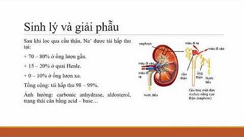 Dược lý thuốc lợi tiểu - Furocemid - Thiazid - kháng Aldosterol