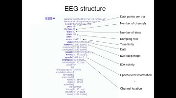 EEGLAB introduction part 6: Multi subject analysis and scripting