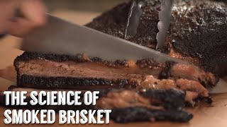 "The Science of Smoked Brisket" by George Motz screenshot 1