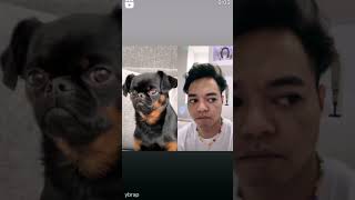 Download Lagu Reza Arap made a remix with my video on Instagram☺️ #rezaarap #dogs #cute #viralshorts #famous #lol MP3 Download Lagu Reza Arap made a remix with my video on Instagram☺️ #rezaarap #dogs #cute #viralshorts #famous #lol MP3