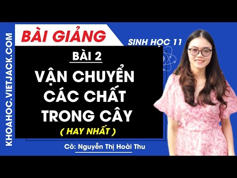 Sinh Học Lớp 11 Bài 2 - Vận chuyển các chất trong cây - Bài 2 - Sinh học 11 - Cô Nguyễn Thị Hoài Thu (HAY NHẤT)