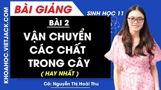 36 câu trắc nghiệm Sinh học 11 bài 2